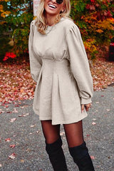 Heididress Ruched Waisted Swing Mini Dress(6 Colors Available)